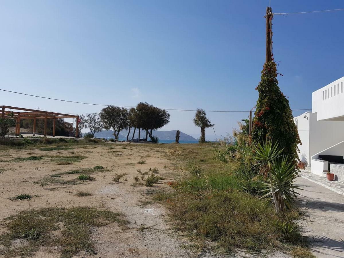 Korina Seaside Studio Naxos City Dış mekan fotoğraf